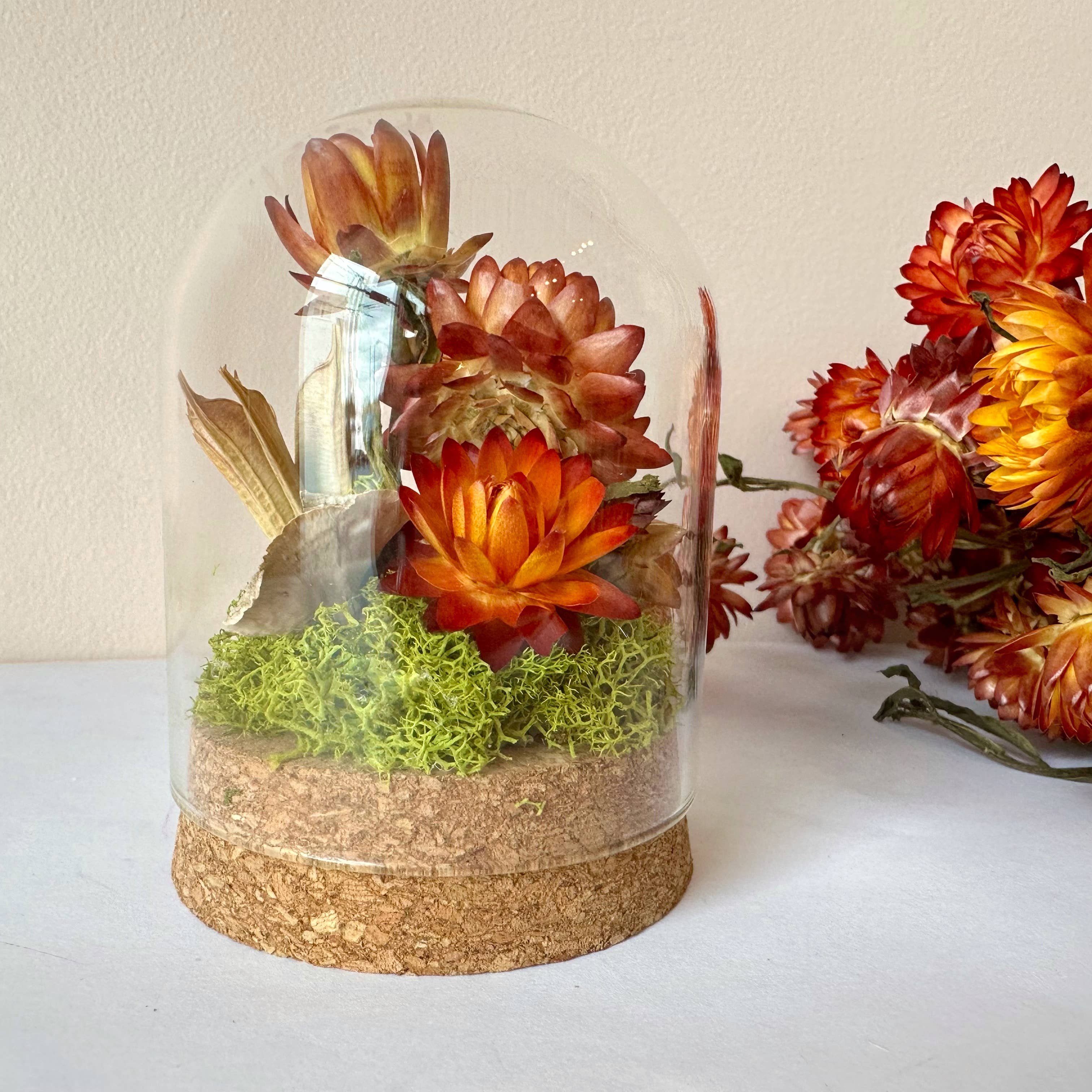 CA Studios - Wholesale Terrarium - Large Botanical Glass Terrarium Jar w. Dried Orange Florals5