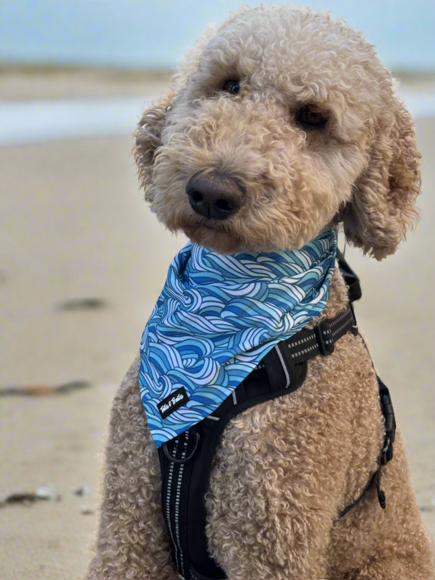 Tails and Trails - Wholesale Hondenbandana - Hond - Riptide Bandana3