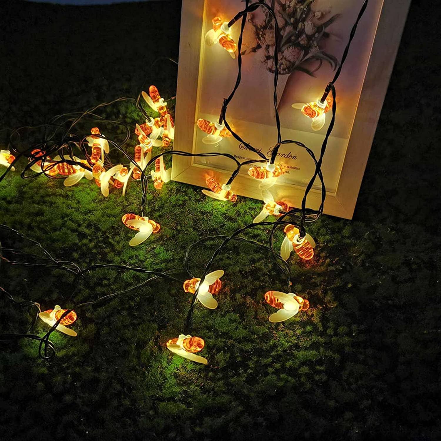 Perfect Holiday - Vendita all'ingrosso Fili di luci - Perfect Holiday - Luce solare a 30 LED, colore: bianco caldo6