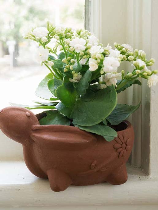 Rakshana Rabbit Plant Pot - Terracotta for wholesale by Matr Boomie Fair Trade
