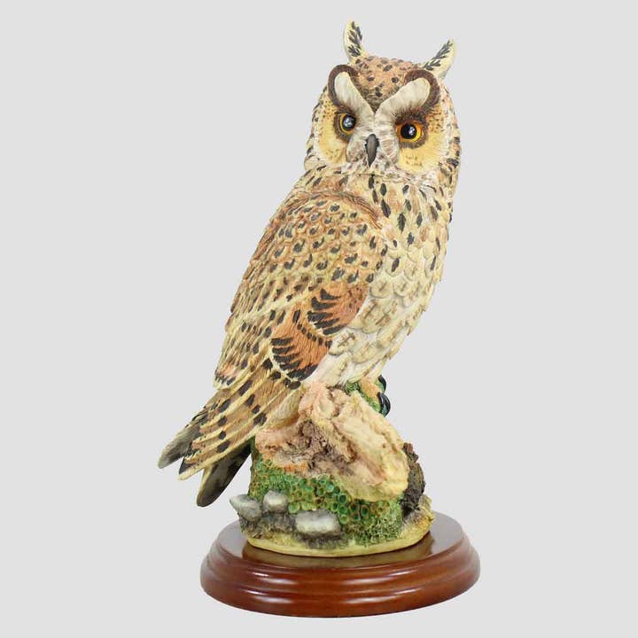 Long Eared Owl On Branch Border Fine Arts for wholesale by Grays 1922