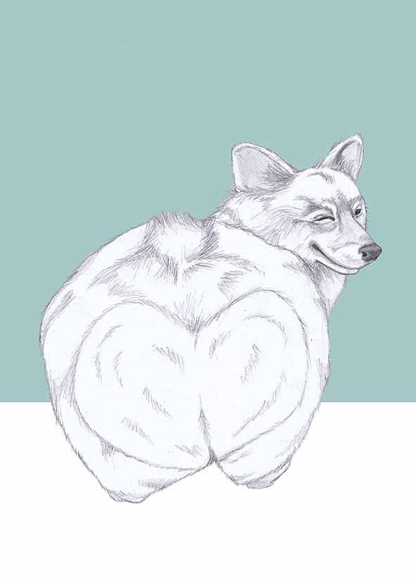 I AM NIEN – Engroshandel Hverdagshilsen kort – Corgi2