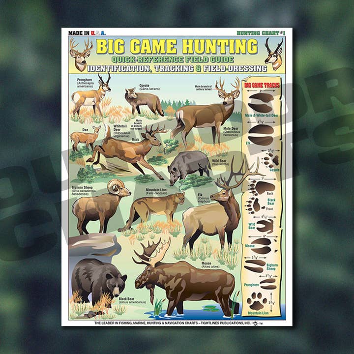 Outdoor Charts – wholesale Sporttillbehör – Identifieringsdiagram för storviltjakt #1 Snabbidentifieringsfältguide