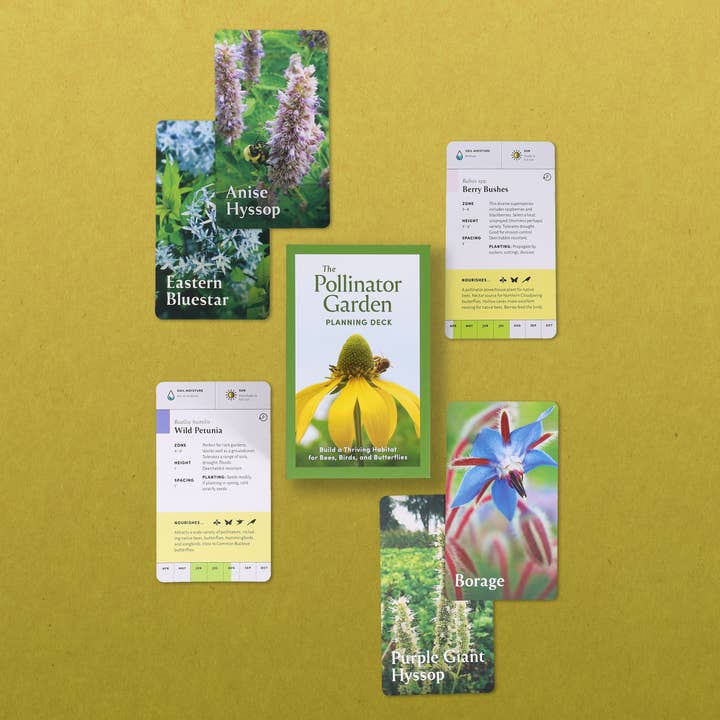Chronicle Books - Wholesale Card Game - Pollinator Garden Planning Deck11