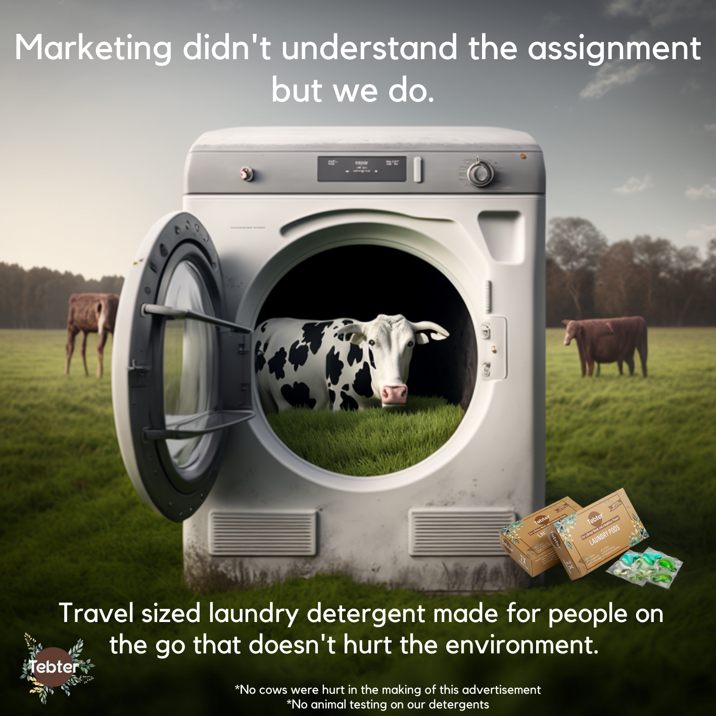 Laundry Vending Products - Wholesale Laundry Detergent Powder/Pods - Tebter - Coin-vend Detergent Pods for hostels & laundromats8