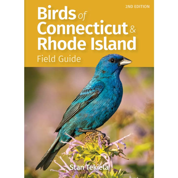 Birds of Connecticut Field Guide 2e for wholesale by AdventureKEEN