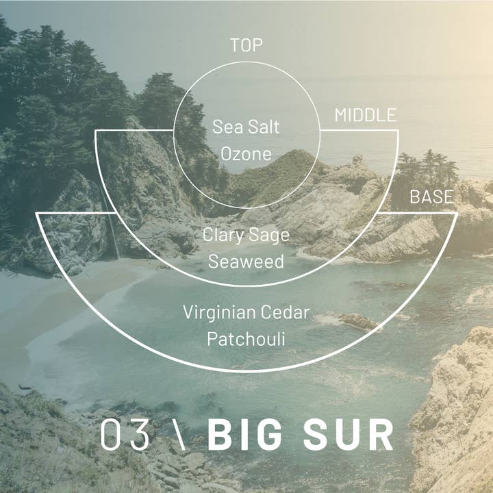 Cedar London - Venta al por mayor Velas en tarros - Vela Big Sur: Vela de soja con aroma a sal marina, salvia y madera de cedro.3