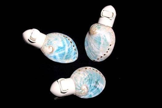 Darlene's Shells - Wholesale Decorative Tabletop Object - AQUA  ABALONE0