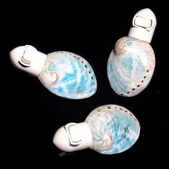 Darlene's Shells - Wholesale Decorative Tabletop Object - AQUA ABALONE0