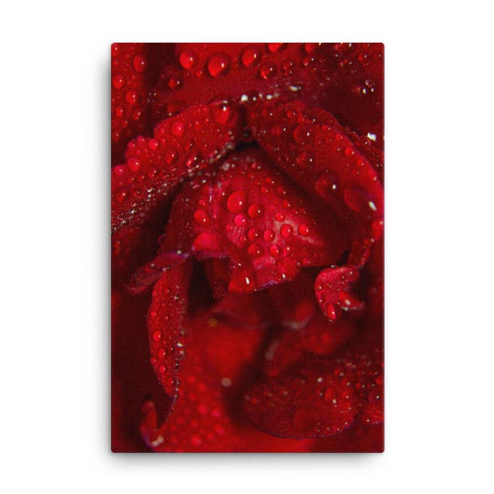 Vermelho Real Rosa Floral Nature Telas Parede Art Prints por atacado de Pipa Wall Art & Home Decor