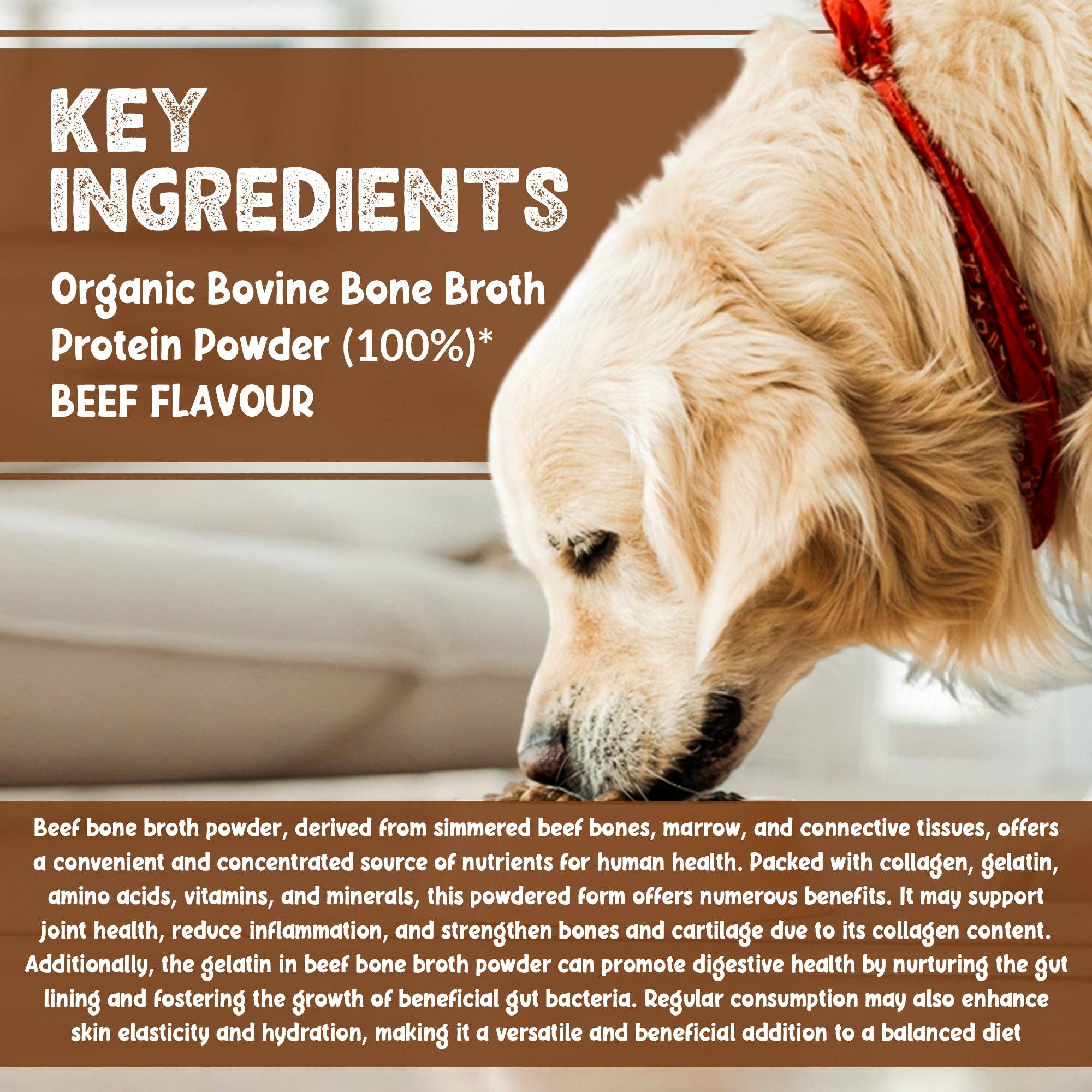 OurPetsLife - Vente Nourriture – chien - Bouillon d’os en poudre pour animaux5