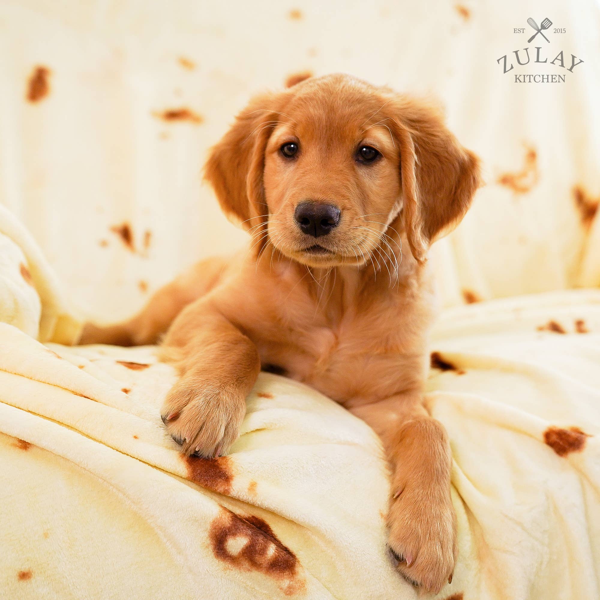 Zulay Kitchen - Vendita all'ingrosso Plaid - Coperta per burrito, motivo: tortilla con farina13