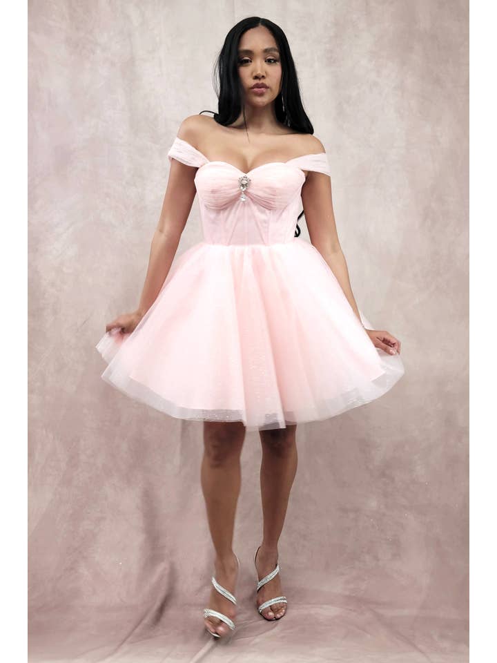 Chicas - Wholesale Dress - Women's - Short Off The Shoulder Tulle Dress With Brooch15