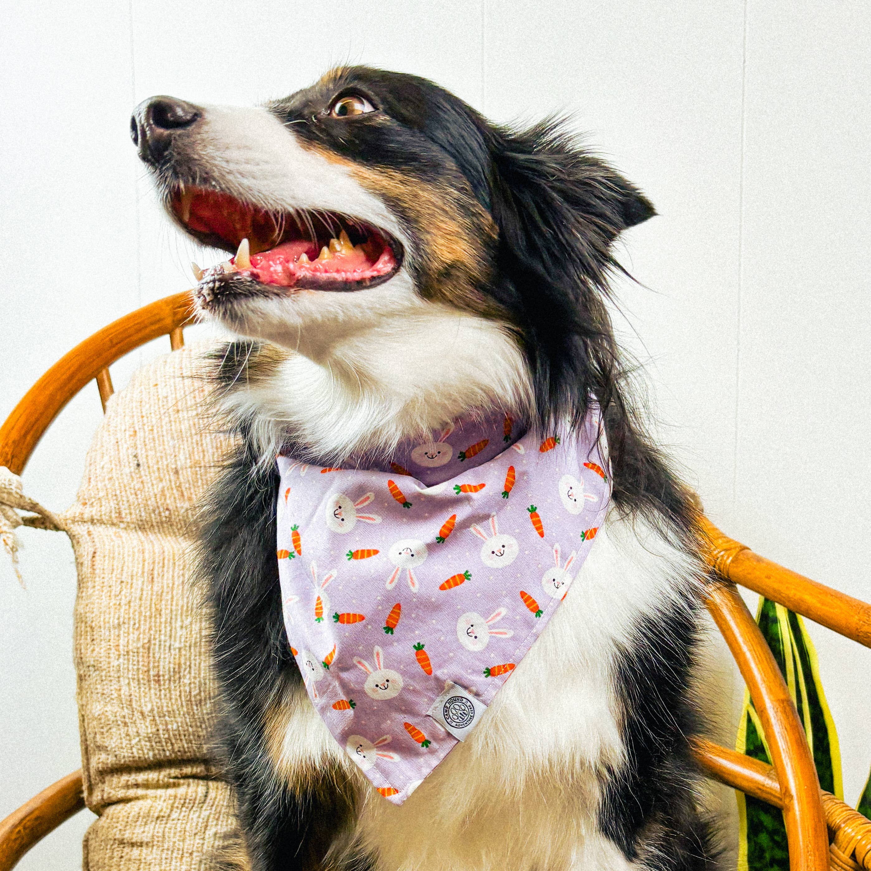 Purple Bunny Dog Bandana | Easter Lavender Carrot Pastel Pet Scarf for wholesale on Faire1