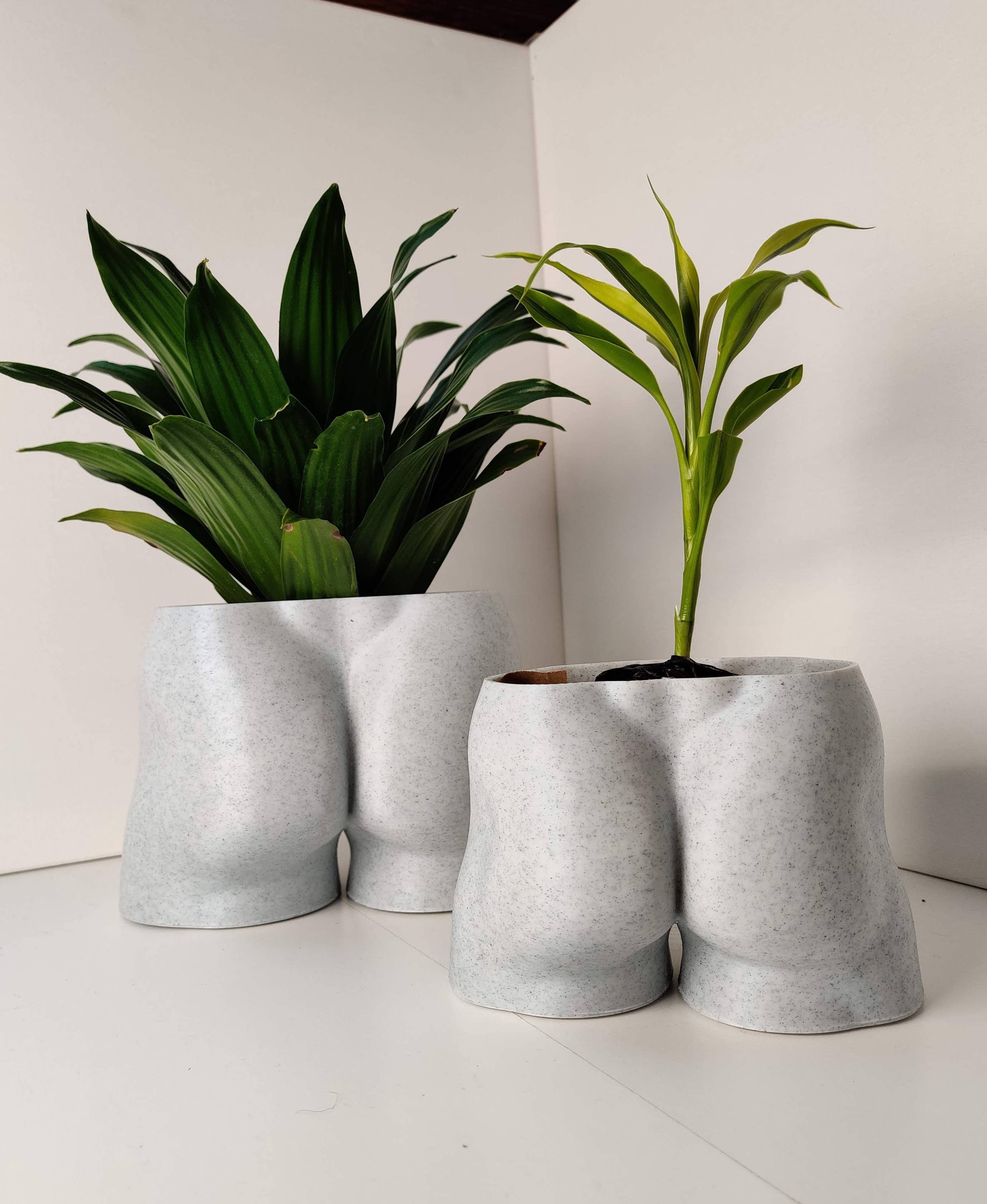 alterly – wholesale Kruka – Man Booty Planter, Man Bum Växt Kruka -3D Tryckt PLA Marmor3