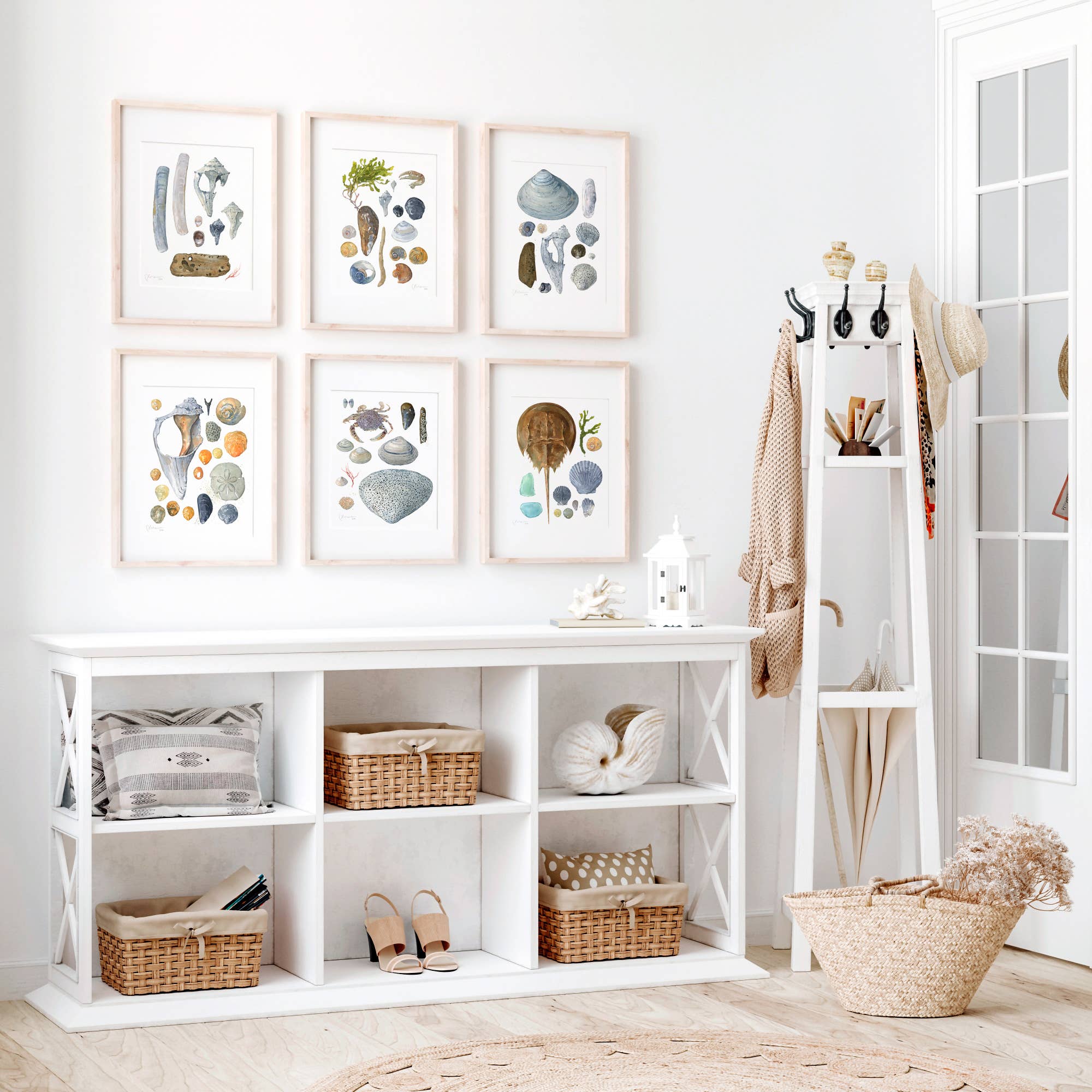 Studio Tuesday - Vente Affiche d'art - Shells Beachcombing Seashore Print F1