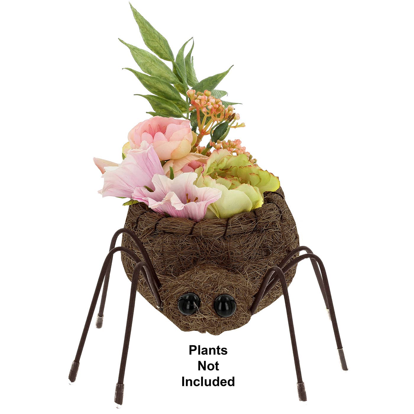 Joe Davies - Wholesale Plant Pot - Cute Coir Planter Spider Small1