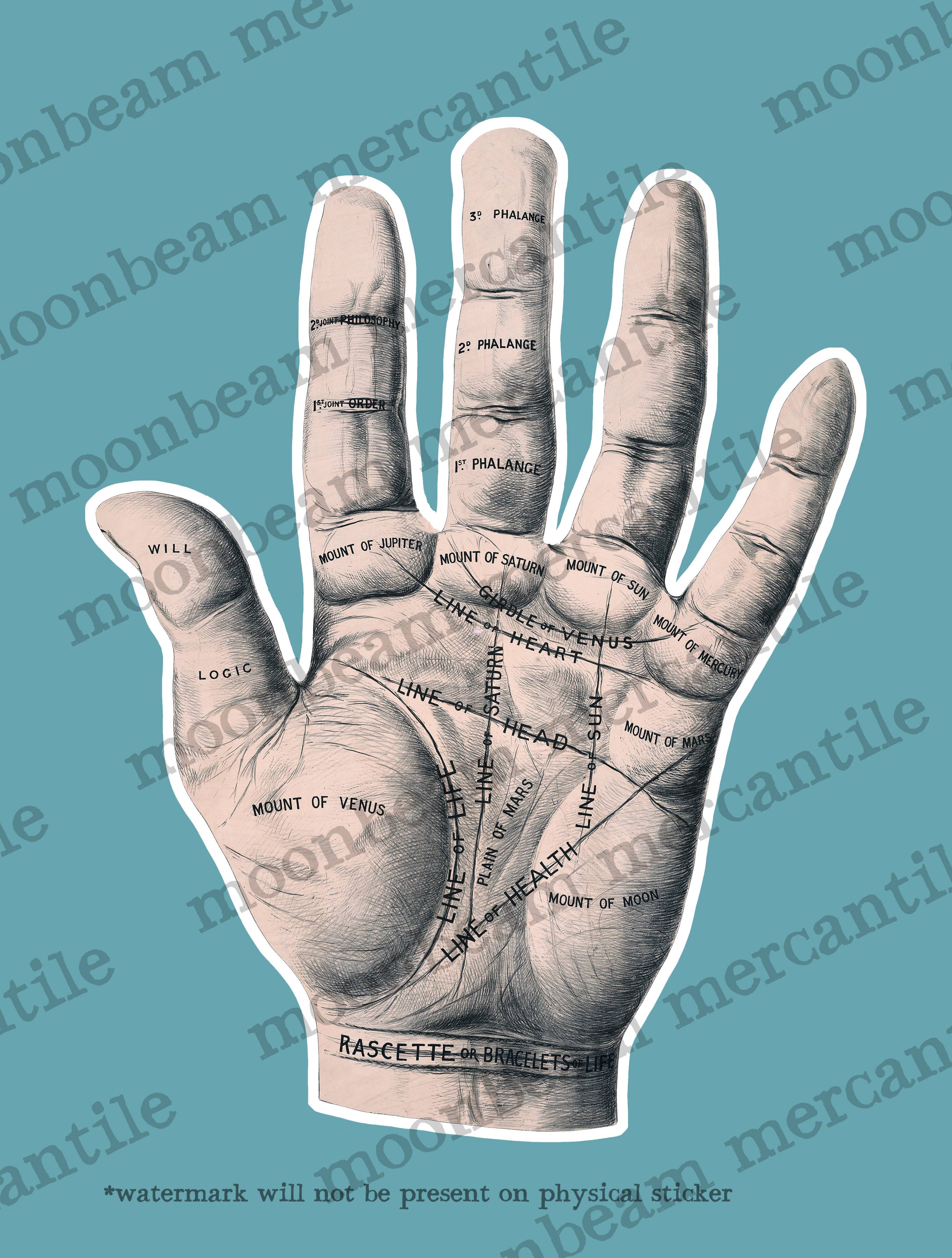 Moonbeam Mercantile - Wholesale Sticker - Vintage-Style Palmistry Palm Reading Sticker1