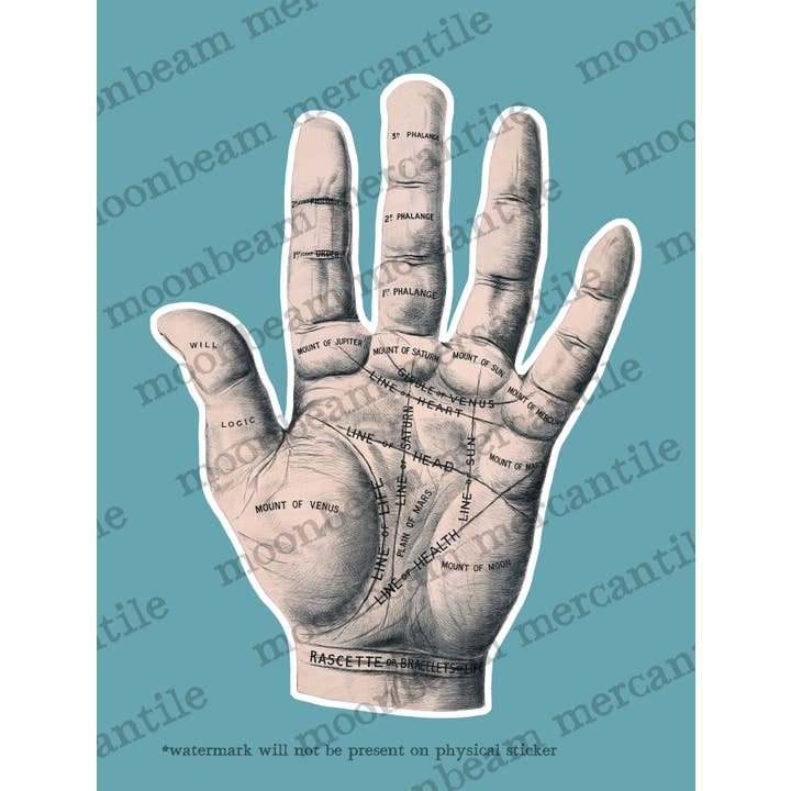 Moonbeam Mercantile - Wholesale Sticker - Vintage-Style Palmistry Palm Reading Sticker1