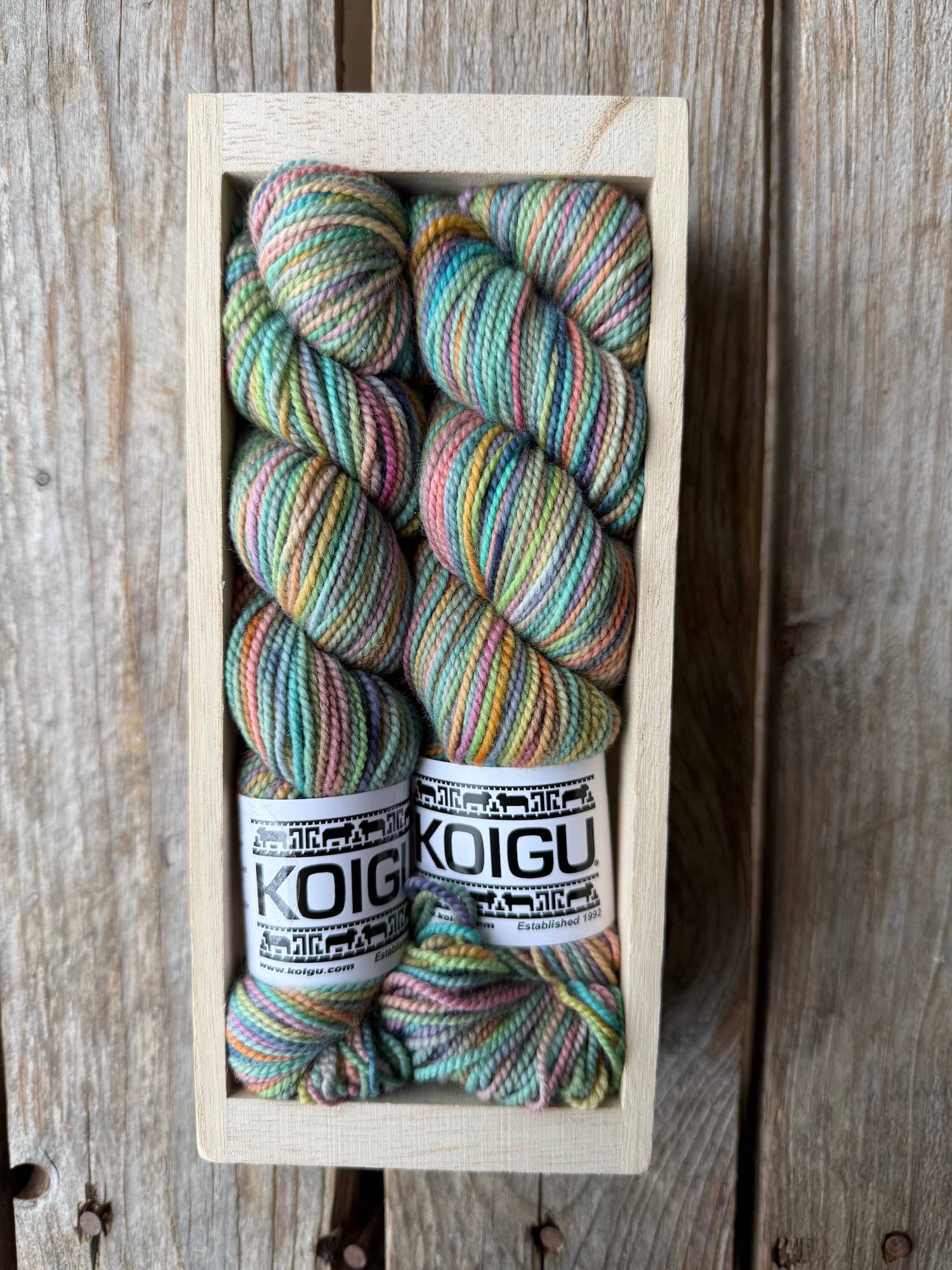 Koigu Wool Designs - Wholesale Yarn - Koigu Sock Crate1