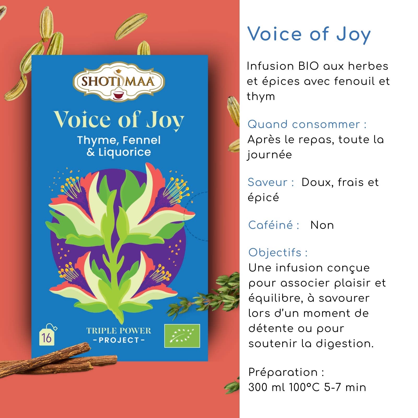 Zen'Arôme - Vente Sachets de thé - Infusion Voice of Joy Tisane bio réglisse, fenouil & thym1