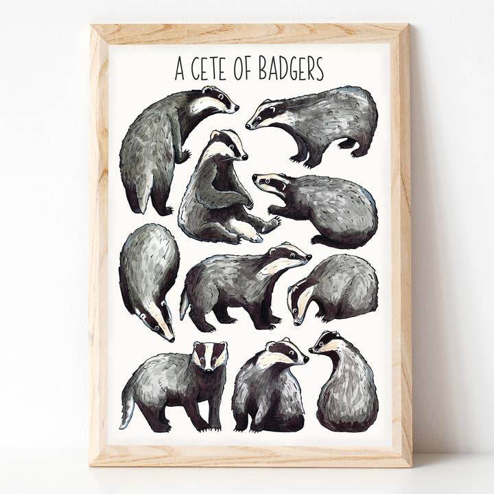 A Cete of Badgers Art Print for wholesale by Alexia Claire Ltd