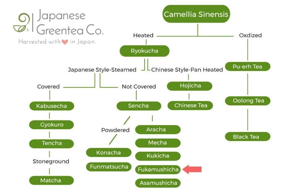 Japanese Green Tea Co. – Engroshandel Sundheds-/detox-te – Matcha Genmai-cha - Premium japansk grøn te (7 oz)10