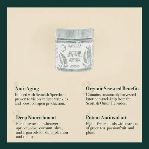 Napiers – wholesale Anti-aging moisturiser – Napiers Speedwell Ageless Night Cream6
