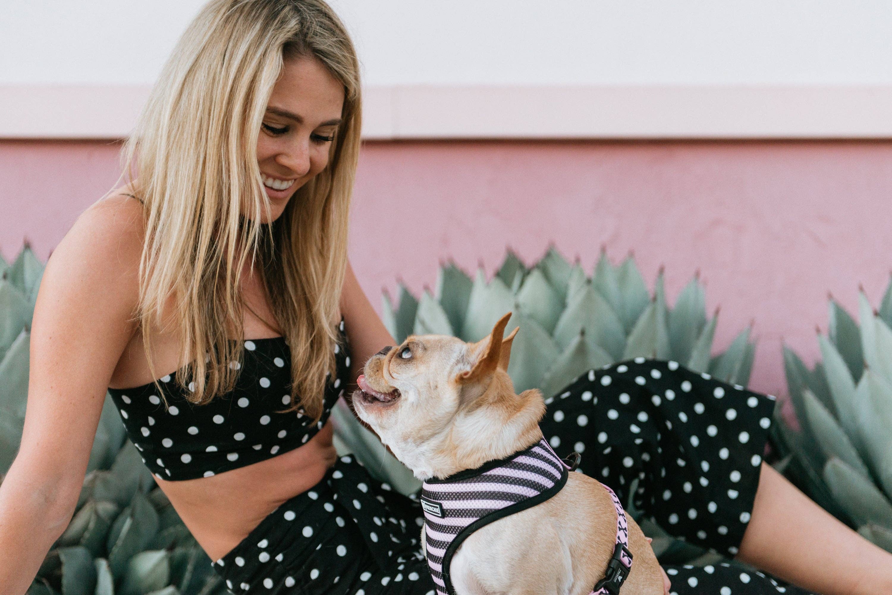 Frenchie – wholesale Pet harness – Dog – Frenchie Duo Reversible Harness - Pink Bad to the Bone5