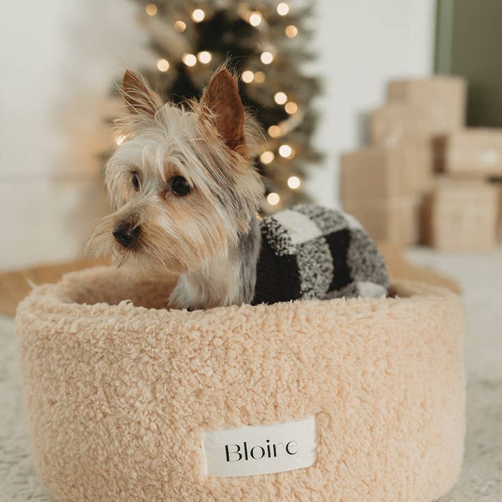 Bloire - Wholesale Pet Bed - Cat - Sherpa Bed - Small dogs and Cats5