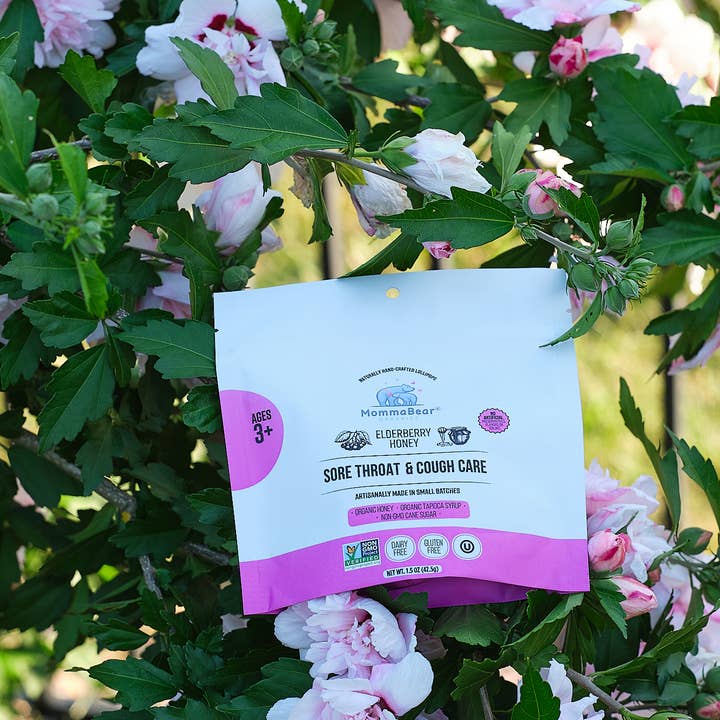 MommaBear Organics - Wholesale Lollipop - Sore Throat & Cough Aid Lollipops; Honey, Elderberry6