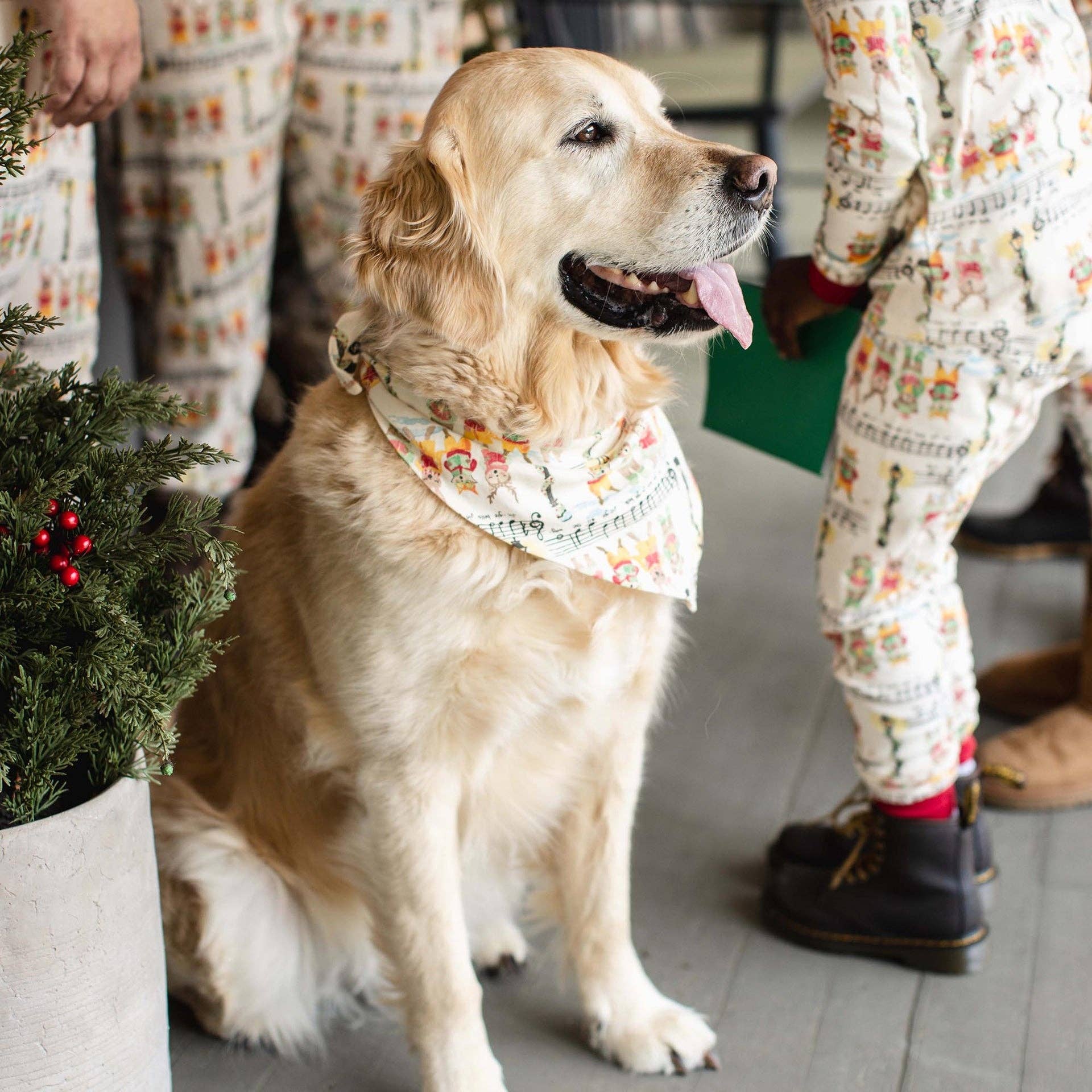 Burt's Bees Baby - Wholesale Sleepwear Set - Unisex - Mens Sweet Carolers Matching Family Pajamas8