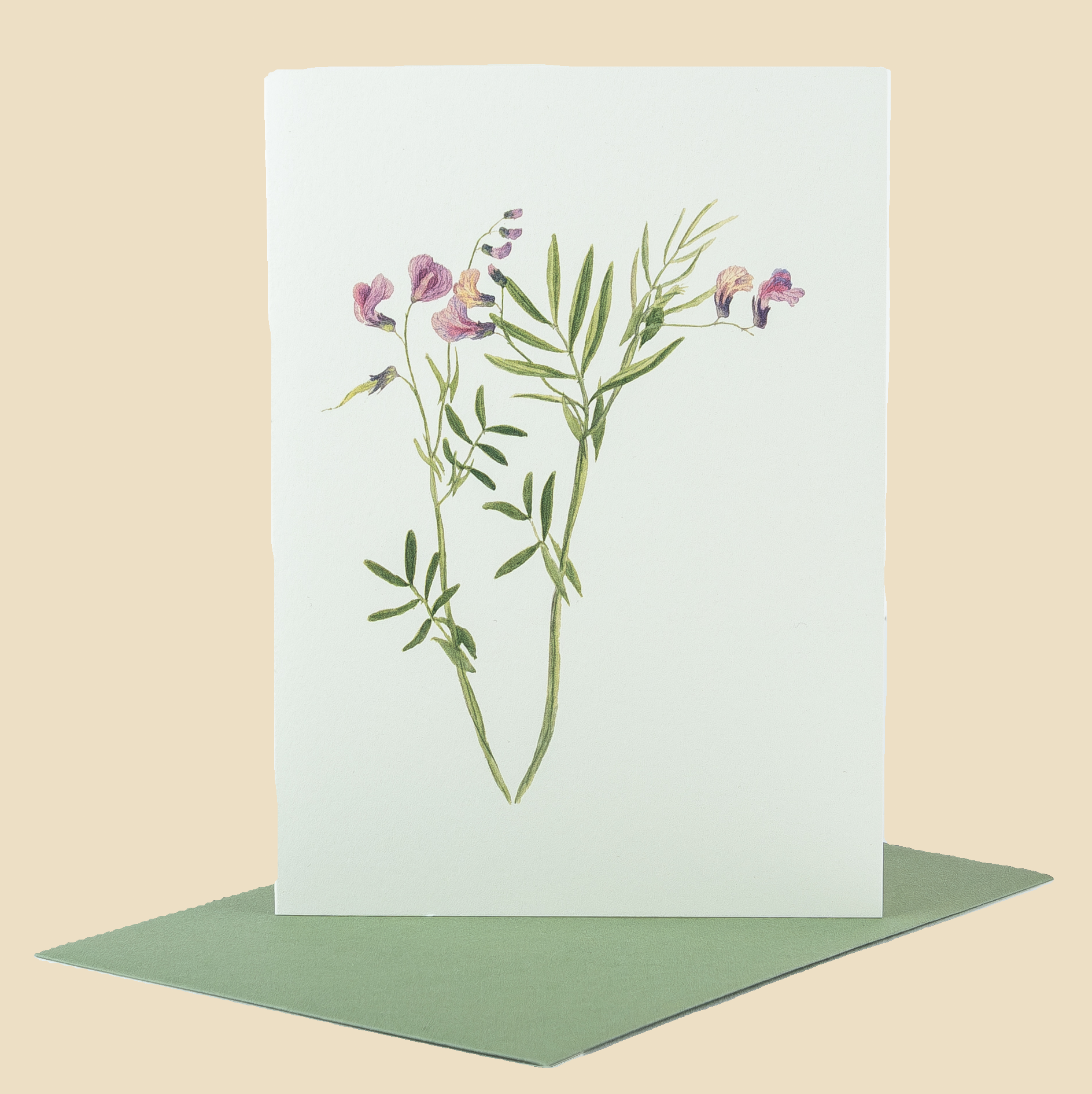 Sophia Davenport - Wholesale Everyday Greeting Card - Wildflower Greeting Cards and Notelets26