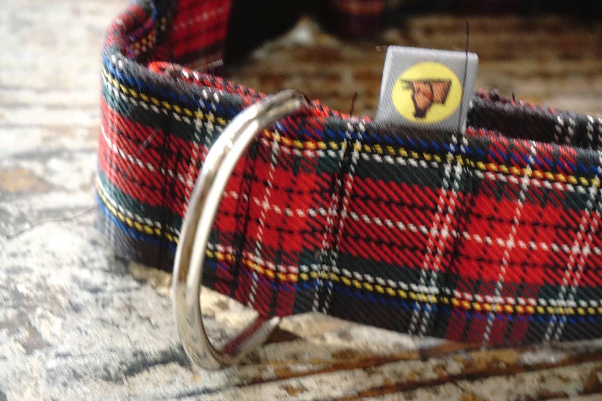 hundsfutter - Wholesale Pet Collar - Dog - Collar, leash, and bag holder set.17