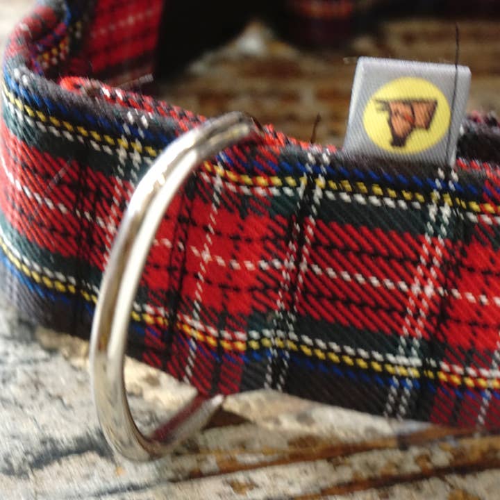 hundsfutter - Wholesale Pet Collar - Dog - Collar, leash, and bag holder set.17