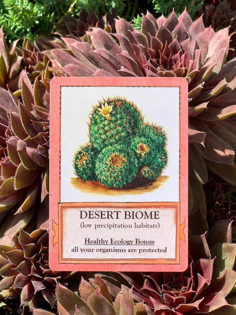 Montrose Biology - Wholesale Card Game - Ecologies Card Game11