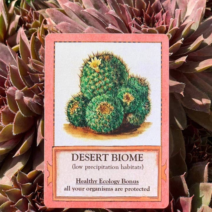 Montrose Biology - Wholesale Card Game - Ecologies Card Game11