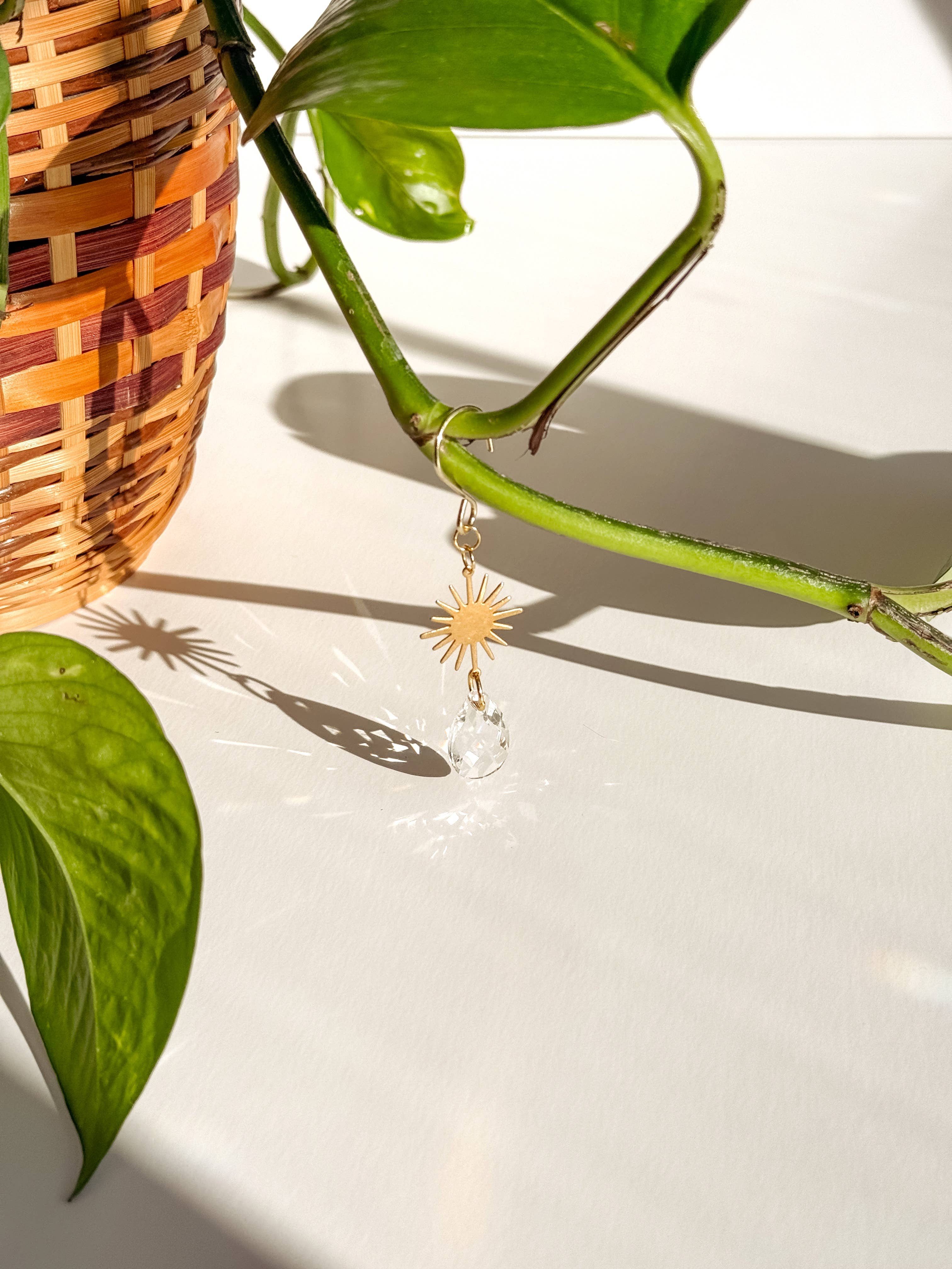 Meraki The Studio Co. - Wholesale Suncatcher - Plant Charm | Suncatcher + Sun | Houseplant Accessories1