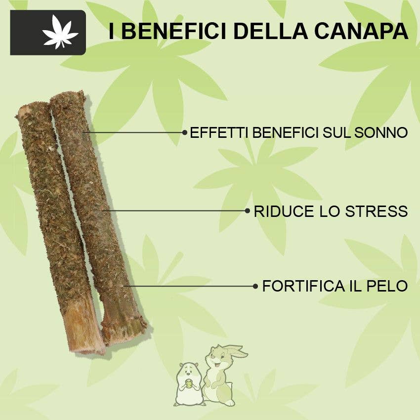 Croci S.p.A. - Wholesale Pet Food - Not Cat/Dog - Snack food for rabbits and rodents with hemp - Woodchuck2