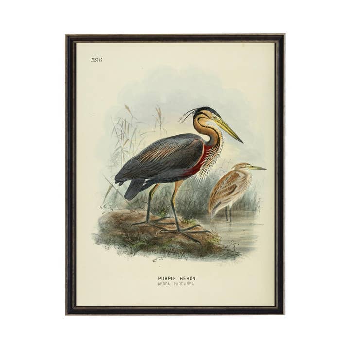 Exlibris vintage Waterbird para venta al por mayor de Antique Curiosities Inc