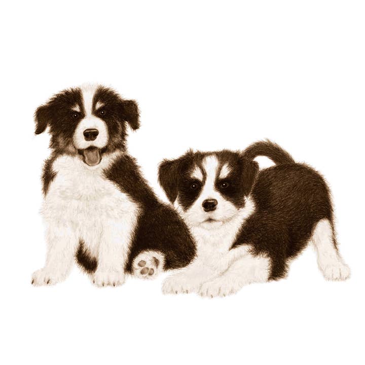 Miss Prince Publications – Baby & Toddler Book (0-2) por atacado – Um Livro de Bebés da Quinta9