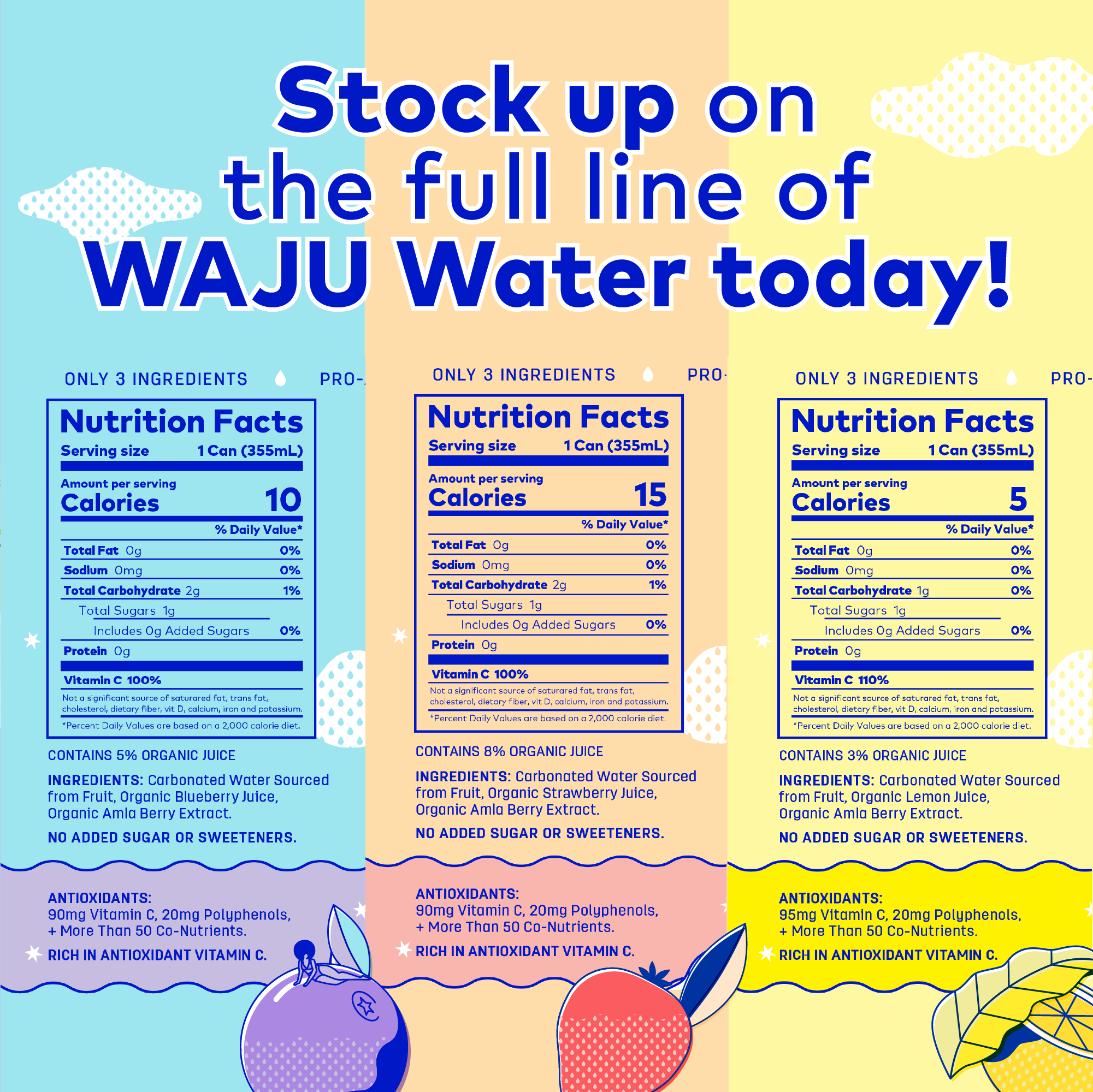WAJU Water - Wholesale Sparkling Water - Blueberry Water from Fruit | Sparkling Water | Antioxidants5