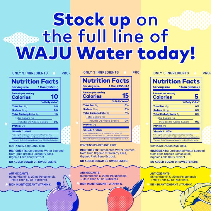 WAJU Water - Wholesale Sparkling Water - Blueberry Water from Fruit | Sparkling Water | Antioxidants5