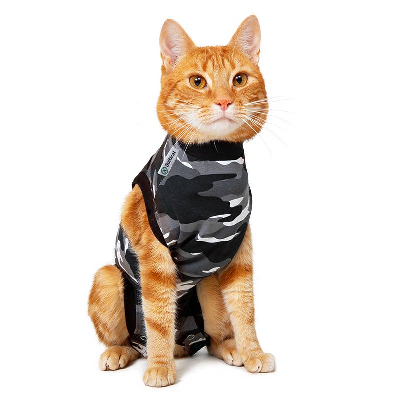 Suitical – wholesale Pet bodysuit – Cat/dog – Recovery Suit - Cat0