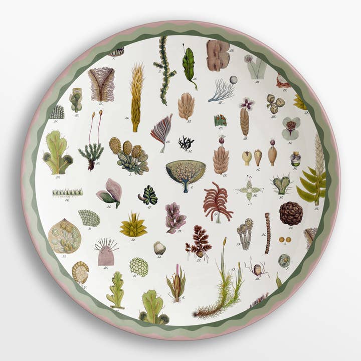 Vito Nesta Grand Tour - Wholesale Serving Plate - Cabinet de Curiosités 6 porcelain placemats #26