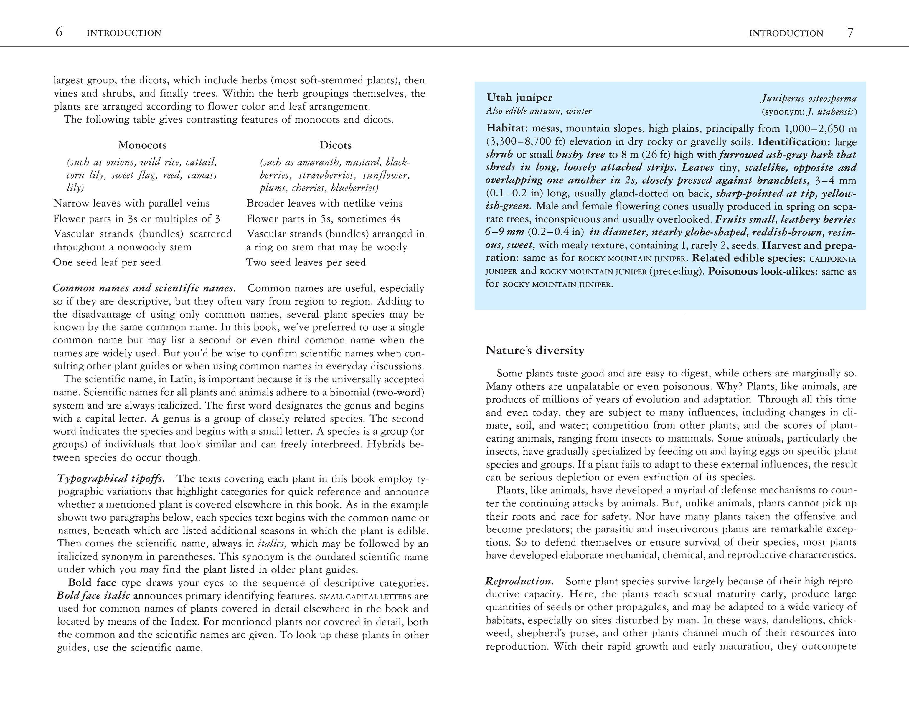 Hachette Book Group - Wholesale Nature & Outdoors - Edible Wild Plants: A North American Field Guide2