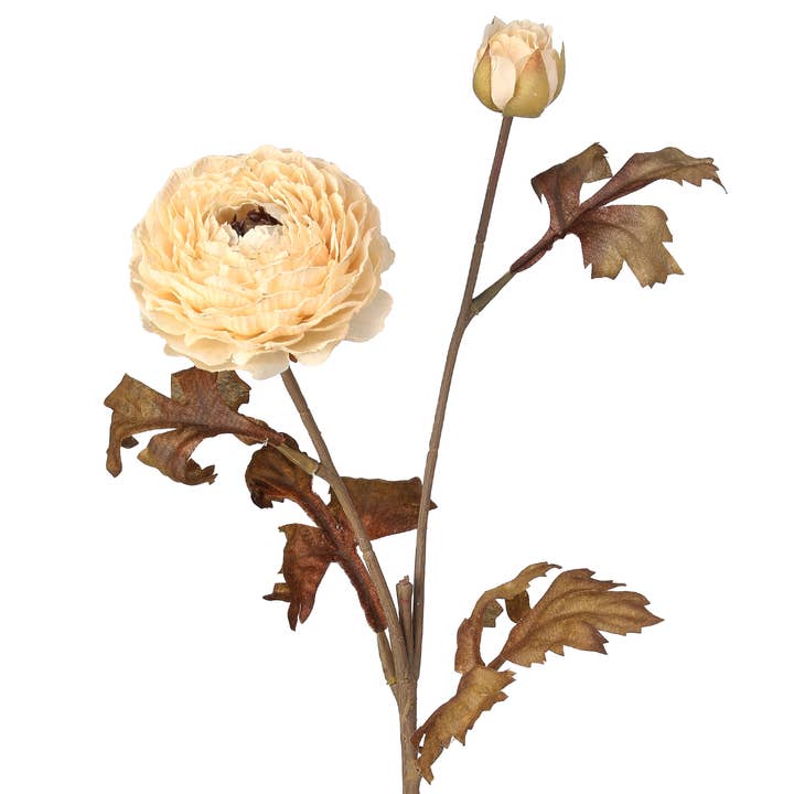 24" Autumn Ranuculus Stem Cream for engroshandel hos An Array of Wreaths, LLC