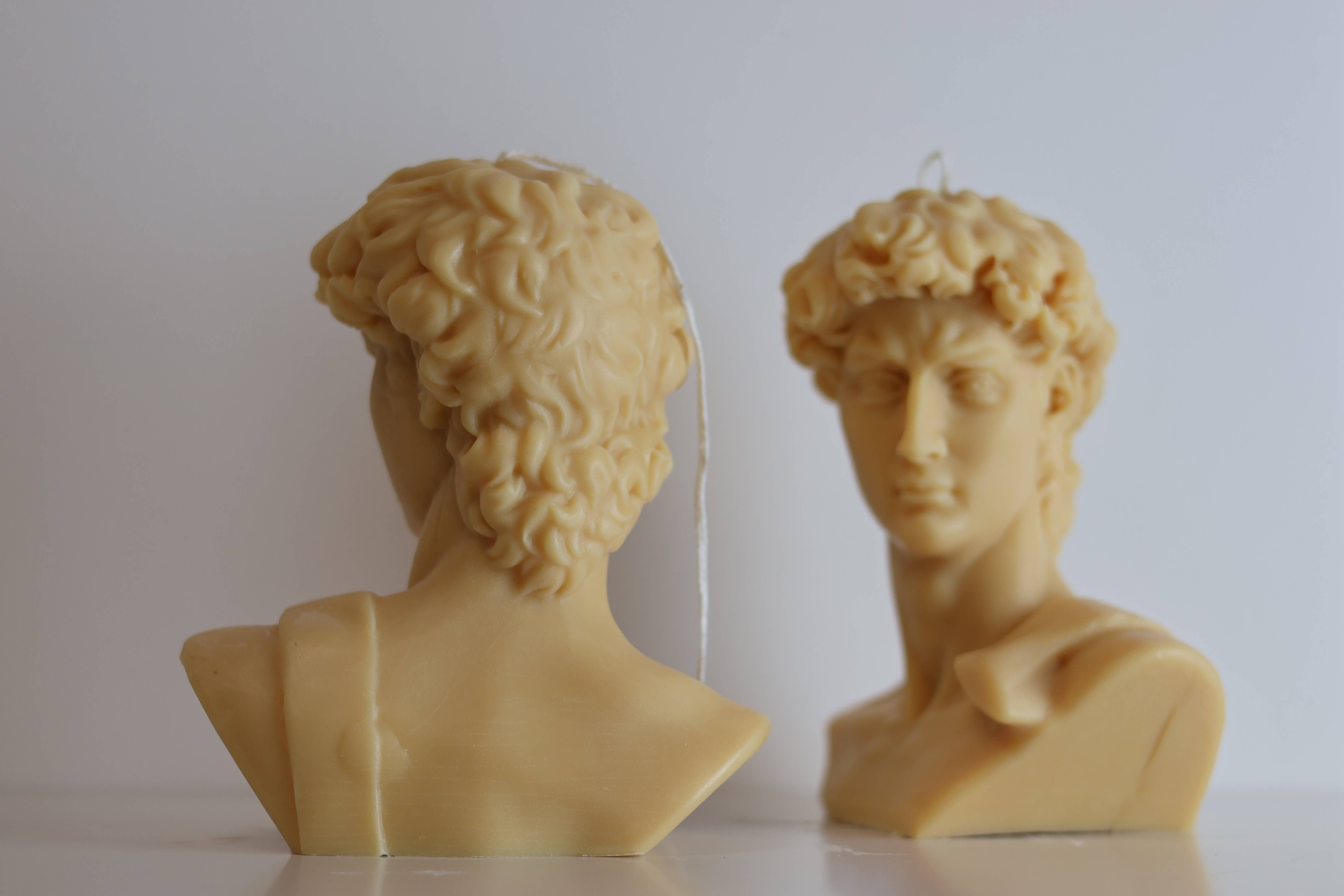 Agaboo Candle - Wholesale Novelty Candle - David Head Candle 5.5x5in - Sculptural2