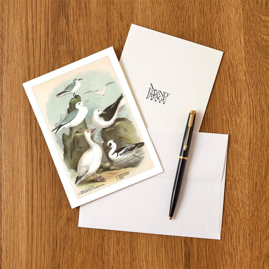 Found Image Press - Wholesale Stationery/Notecard Set - Greeting Card BD-47 Gulls, Snow Goose, Smew1