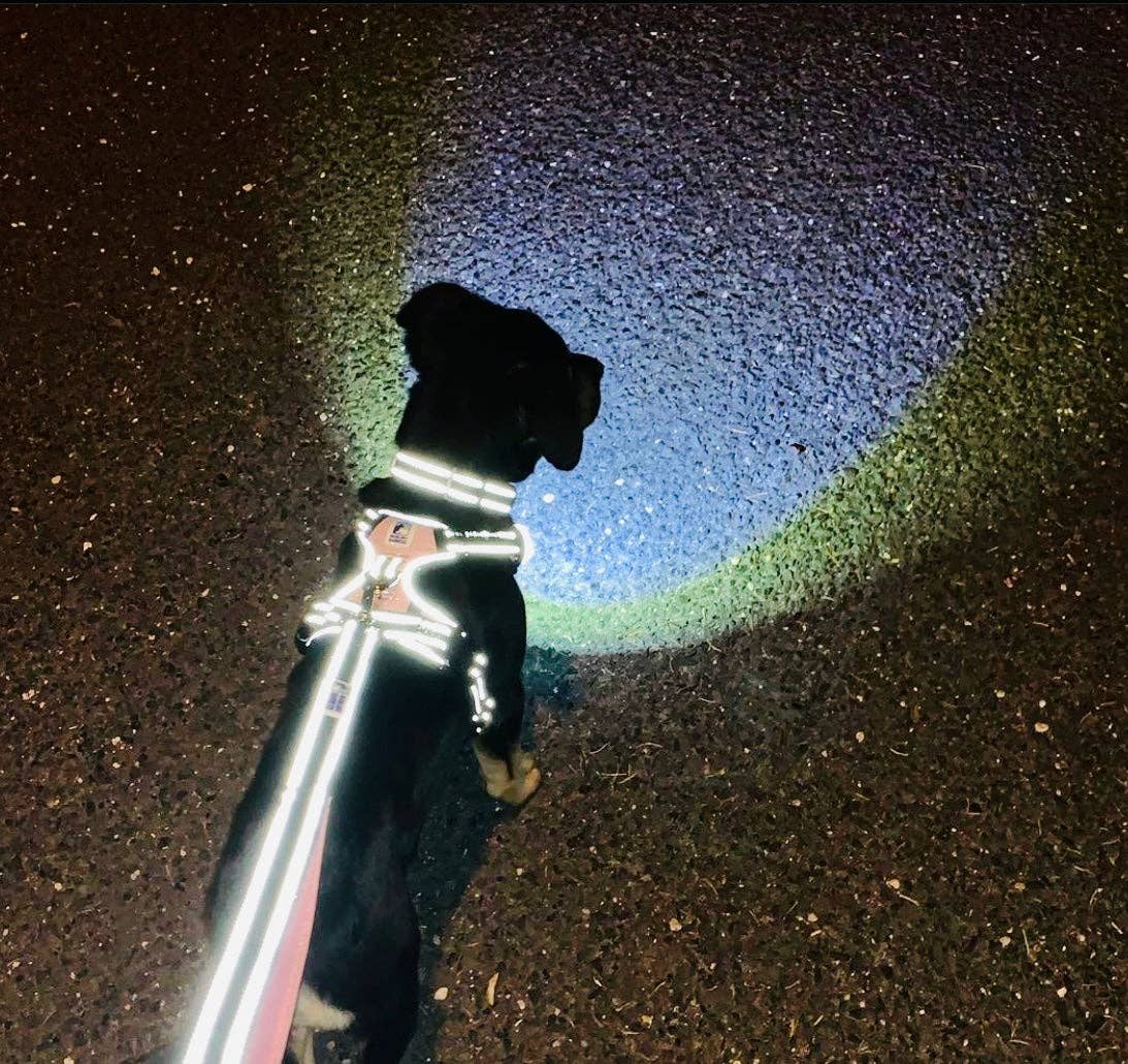 Headlight Harness - Venta al por mayor Correa - Perros - Correa reflectante de doble asa para perros6